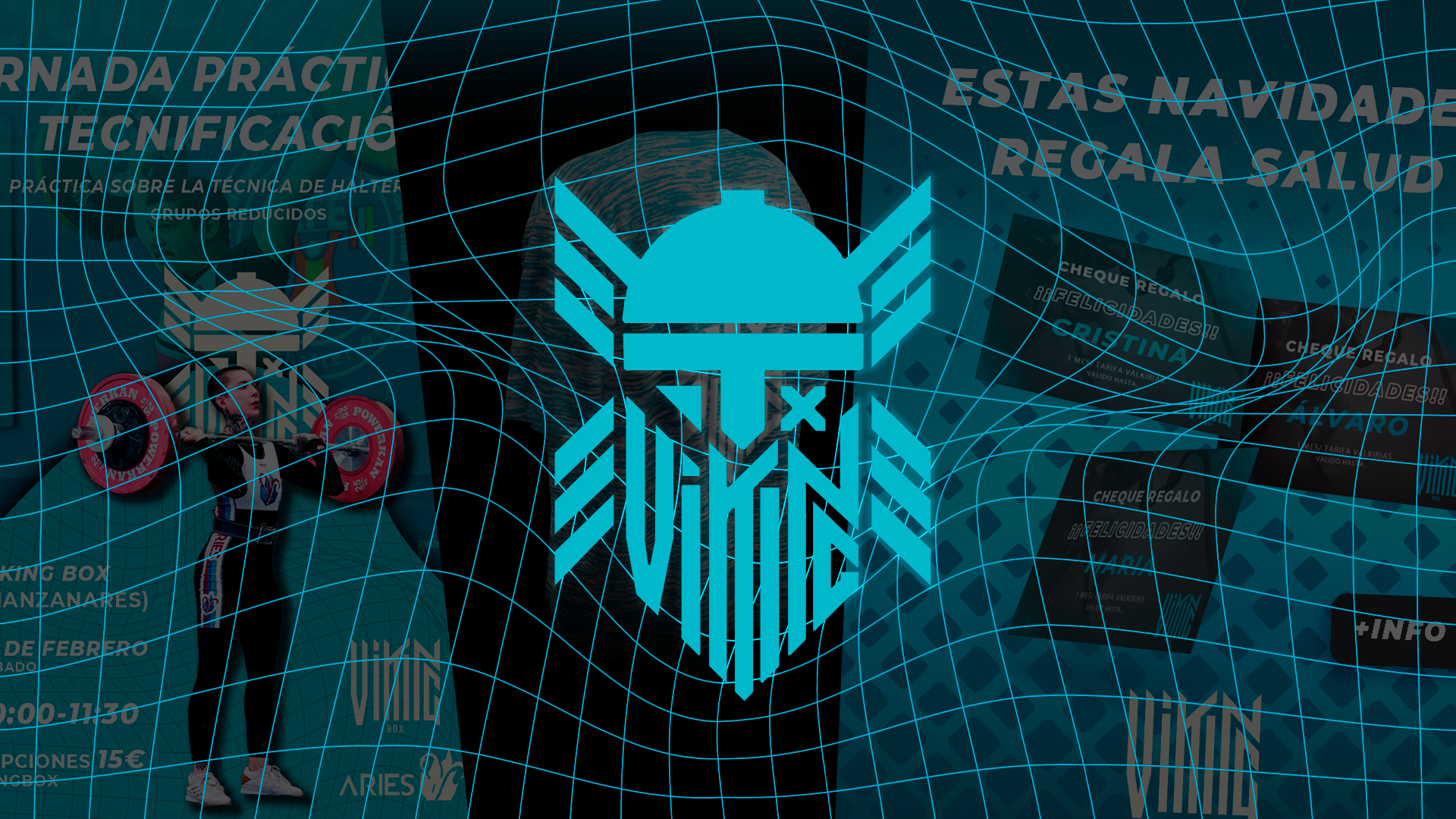 VIKING BOX PORTFOLIO CNBG